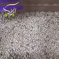 سویا آجیلی بسته 250 گرمی (3بسته)