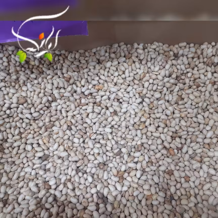 سویا آجیلی بسته 250 گرمی (3بسته)