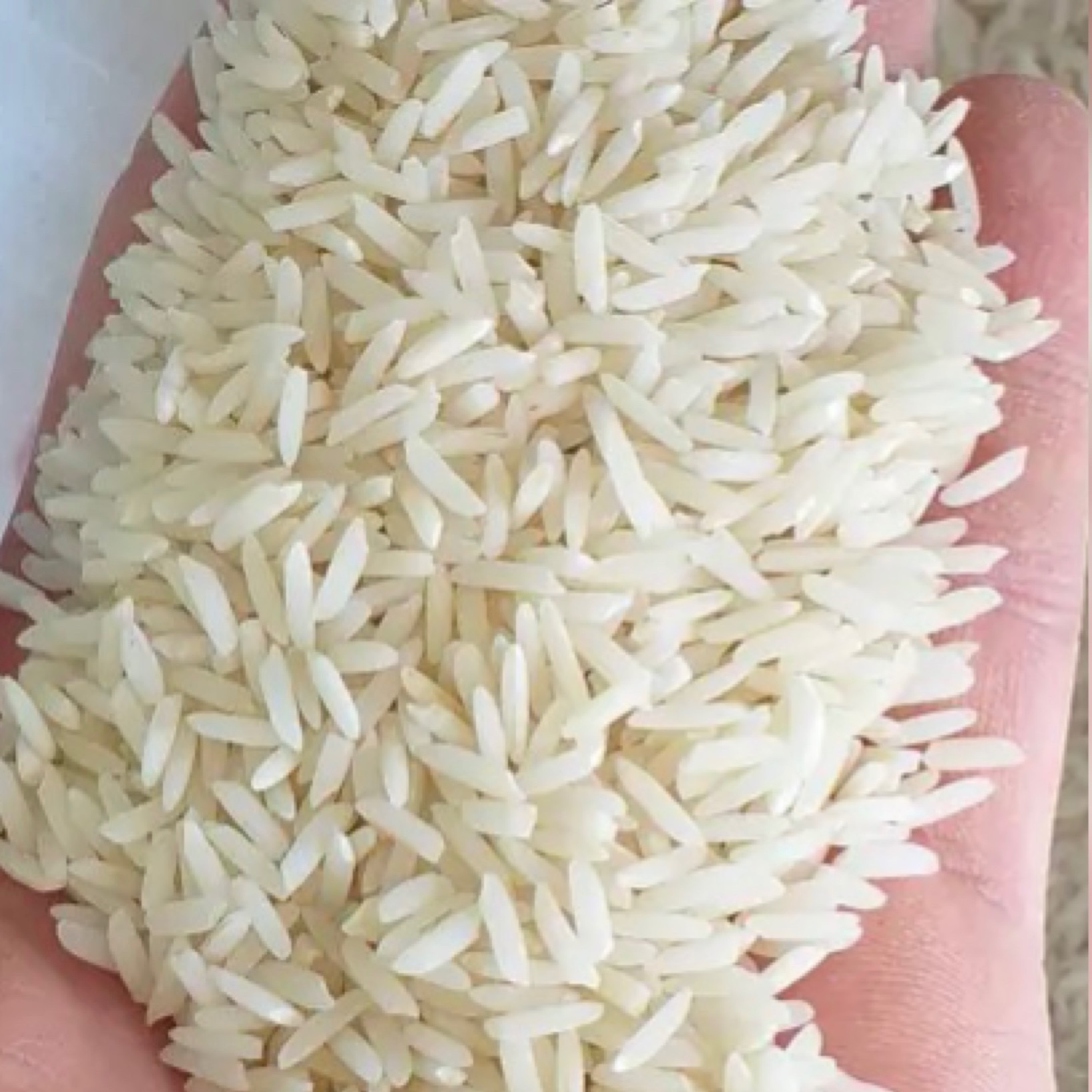 برنج درجه یک هاشمی آستانه به شرط