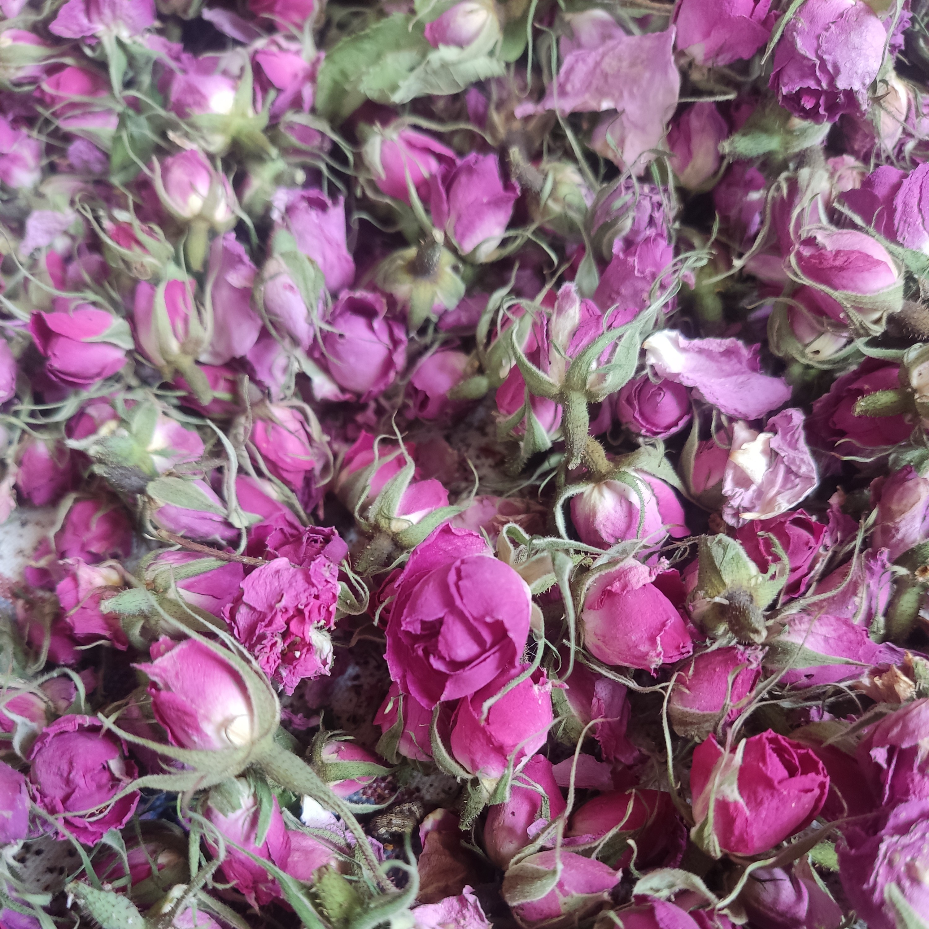 غنچه گل محمدی خشک   بسته 100 گرمی  معطر و خوش رنگ