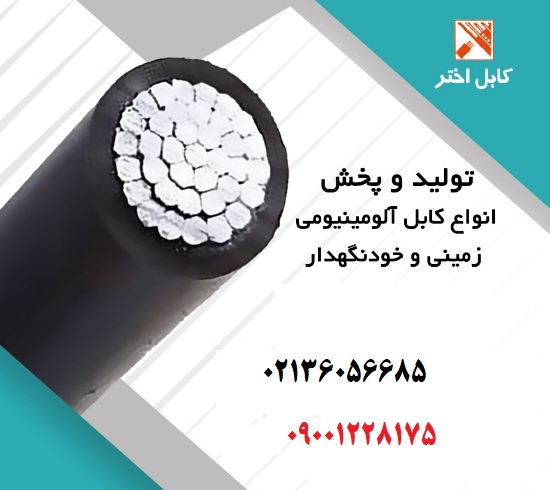 کابل آلومینیوم 1×70 با روکش PVC مارک اختر ⚡ قدرتی بینظیر برای پروژههای شما! 🛠️