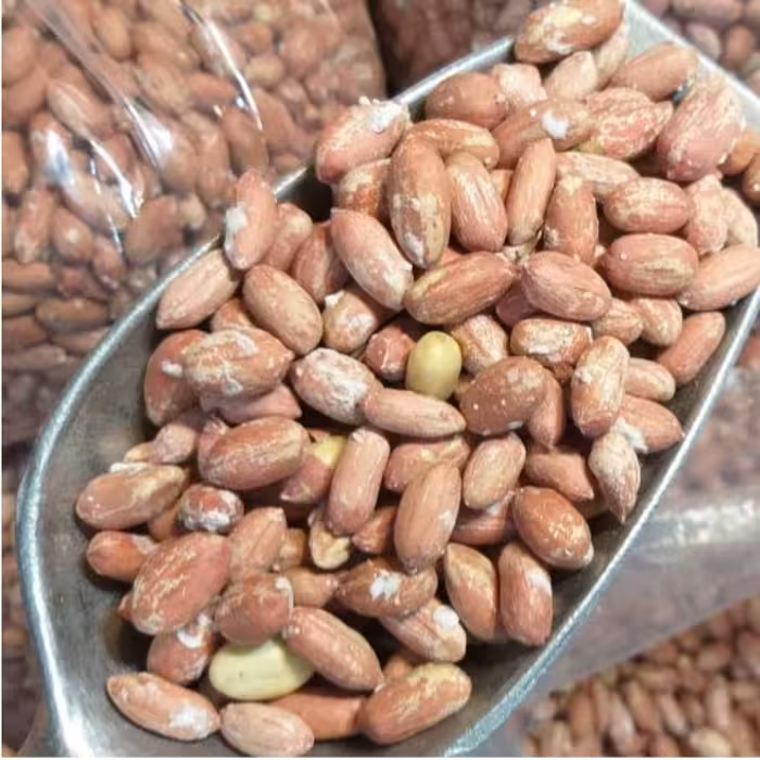 مغز بادام زمینی درشت  دو آتیشه شور (500گرم ) تازه و یکدست 