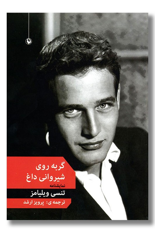 کتاب گربه روی شیروانی داغ
