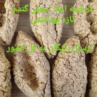 ترخینه گندم درجه یک با ماست پرچرب فوق اعلا هرهفته پخت جدید پخش اصلی غرب کشور