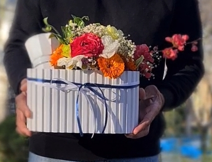 پیش‌نویس 109