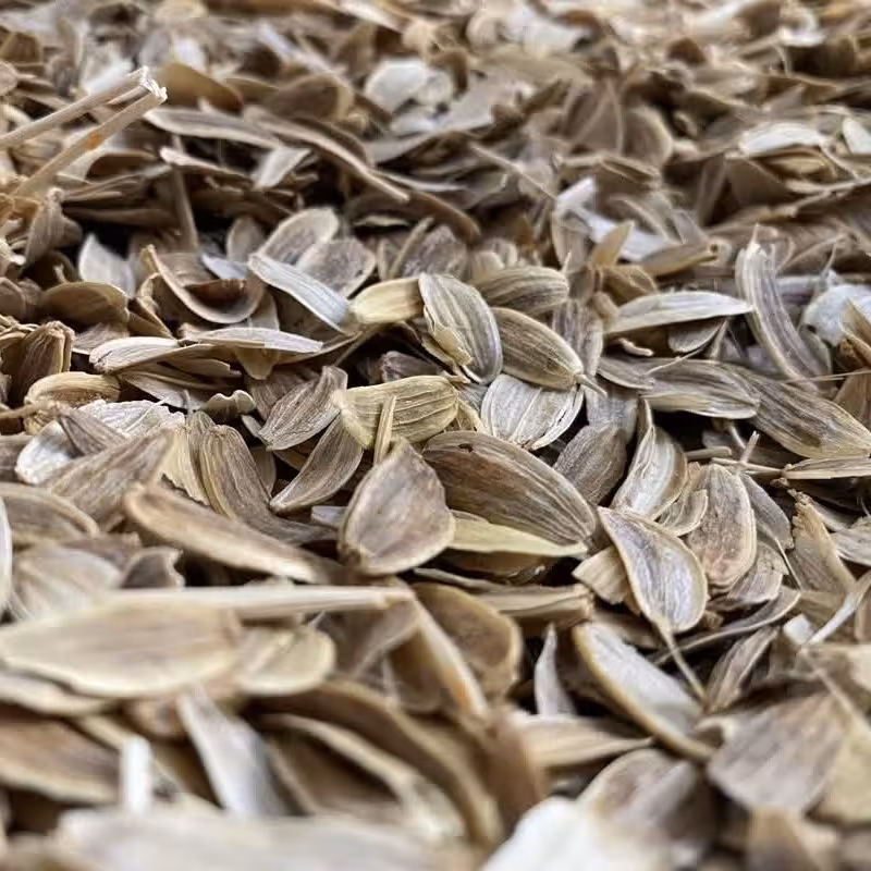 اَنجدان رومی  باکیفیت (500گرمی)