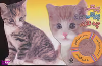 کتاب پیشی پیشی جان چه نازی انتشارات جابیرو