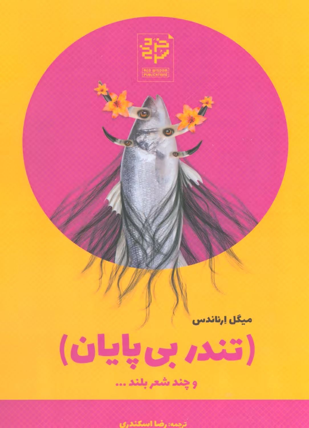 کتاب تندر بی پایان و چند شعر بلند...