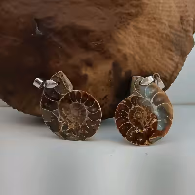 آمونیت یک جفت گردنبند طبیعی کد استقلال18