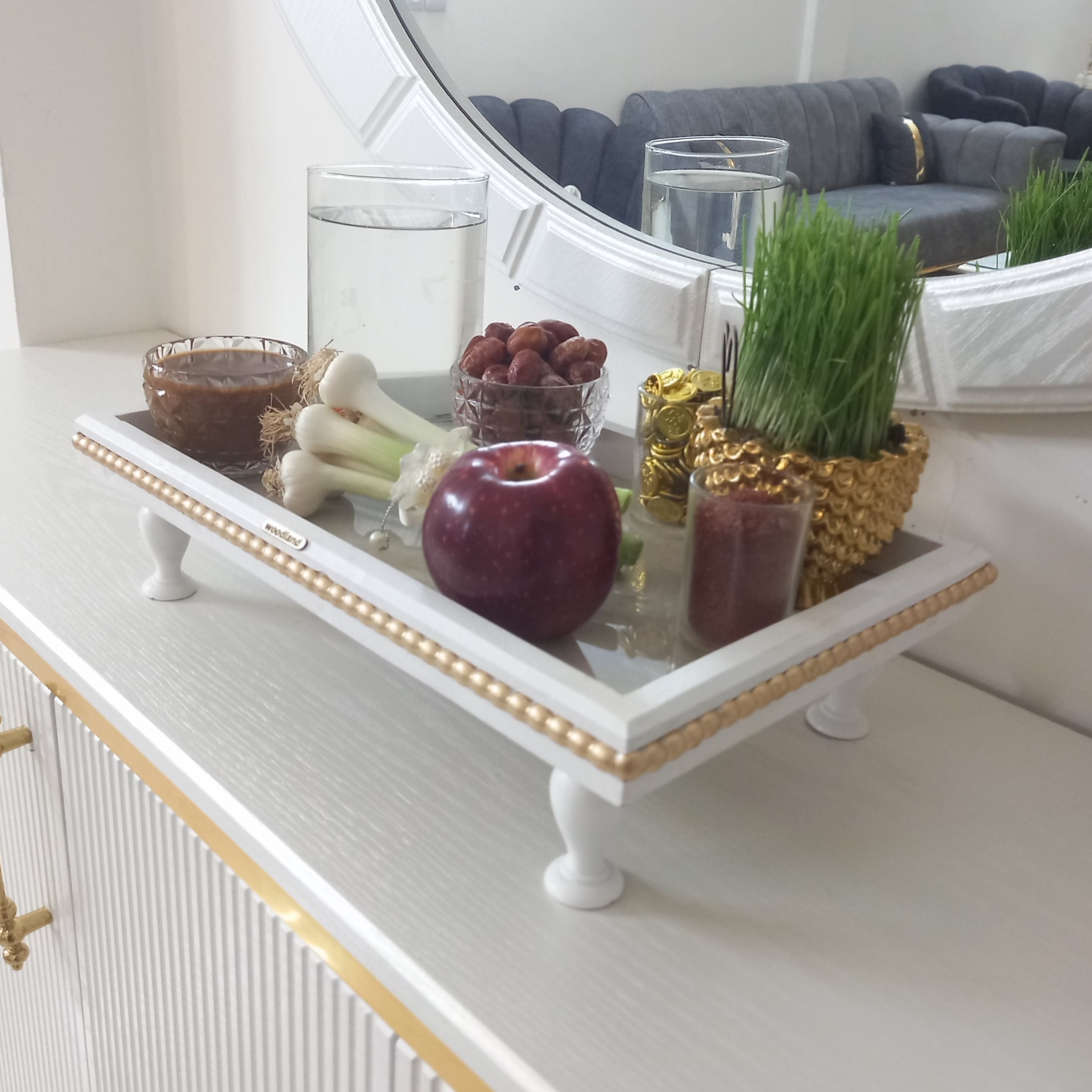 سینی رایزر یا نظم دهنده