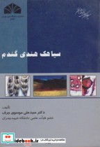 قیمت و خرید کتاب سیاهک هندی گندم اثر علی موسوی جرف | ایده بوک