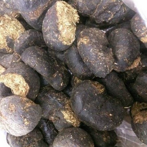 عنبر نسارا الاغ ماده باخوراک گیاهان صحرایی برای بهبود انواع عفونتها موجود در بسته های یک کیلویی