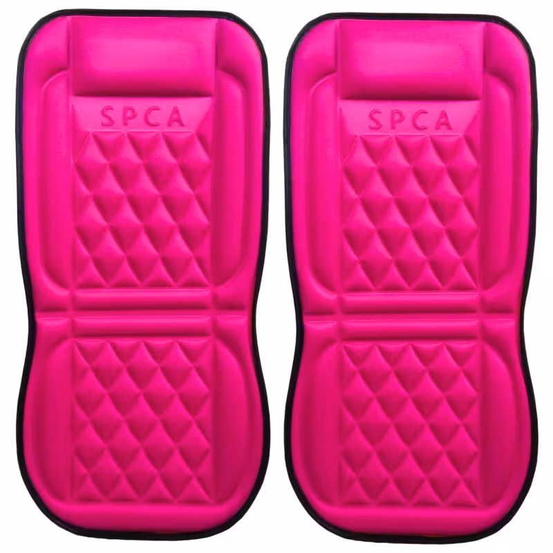 پشتی صندلی SPCA مجموعه دو عددی سرخابی