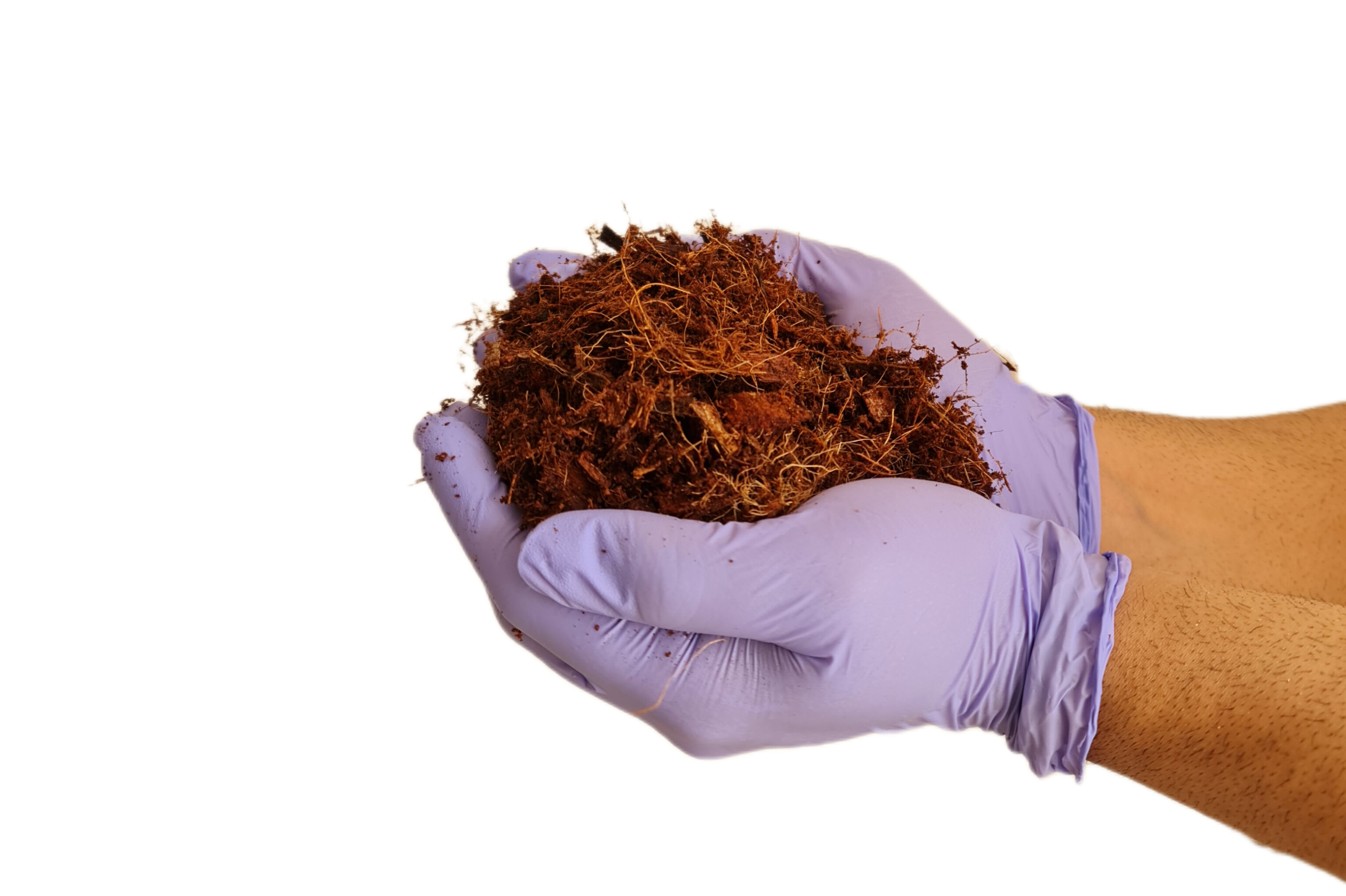 کوکوچیپس اصلاح شده