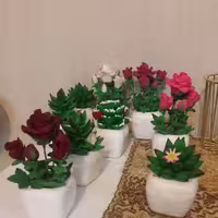 گل فانتزی با گلدانهای جنس سرامیکی بسیار زیبا