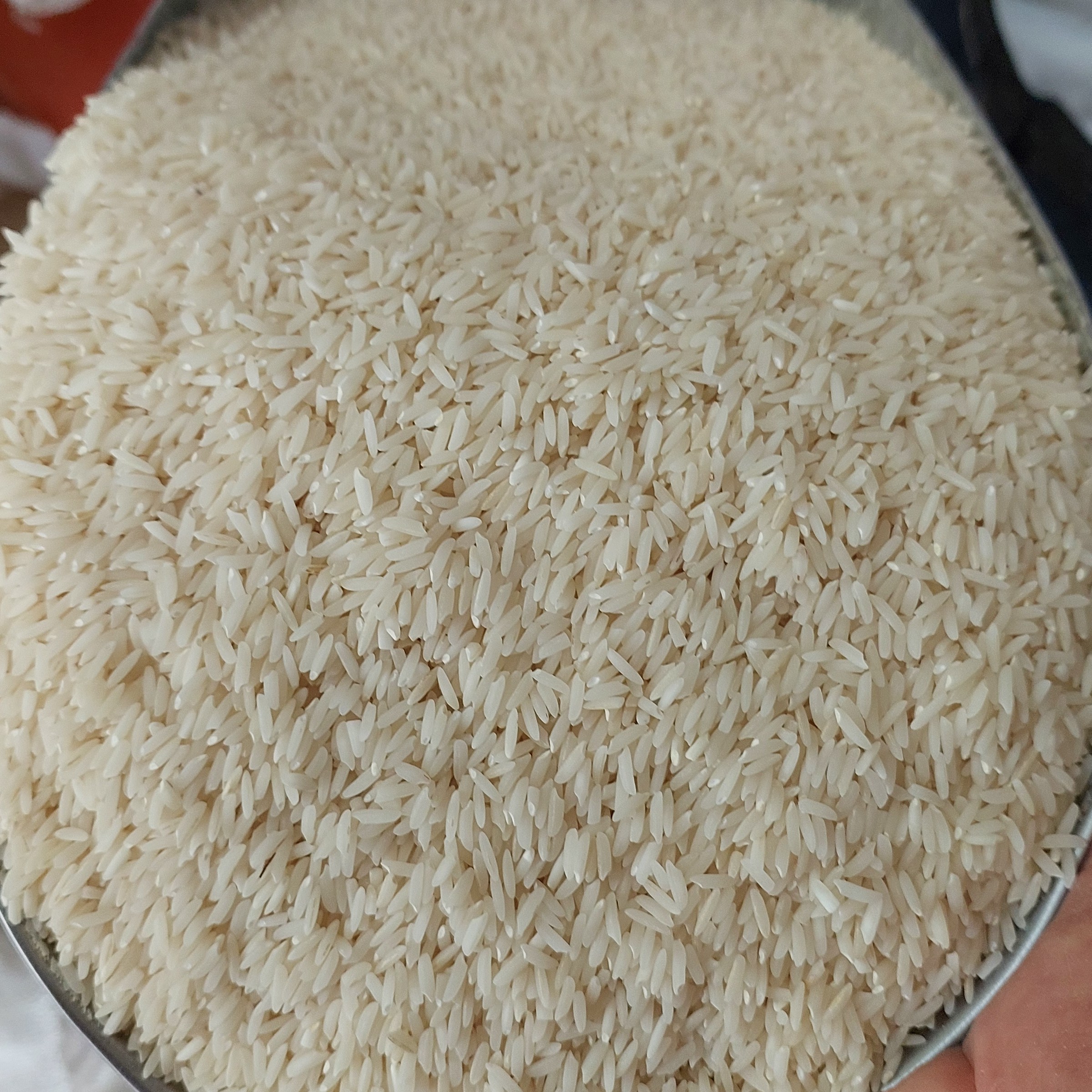 برنج هاشمی سورتینگ شده گیلان