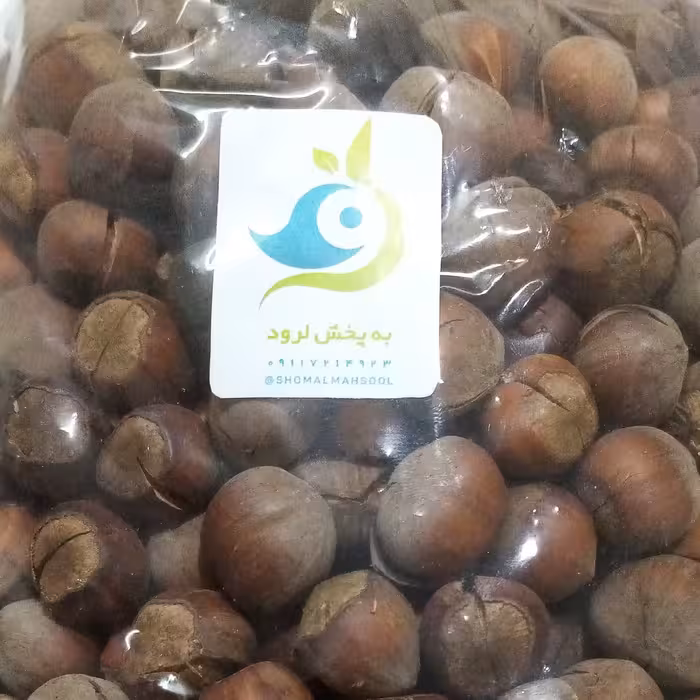 فندق خندان و برشته شده اشکورات گیلان