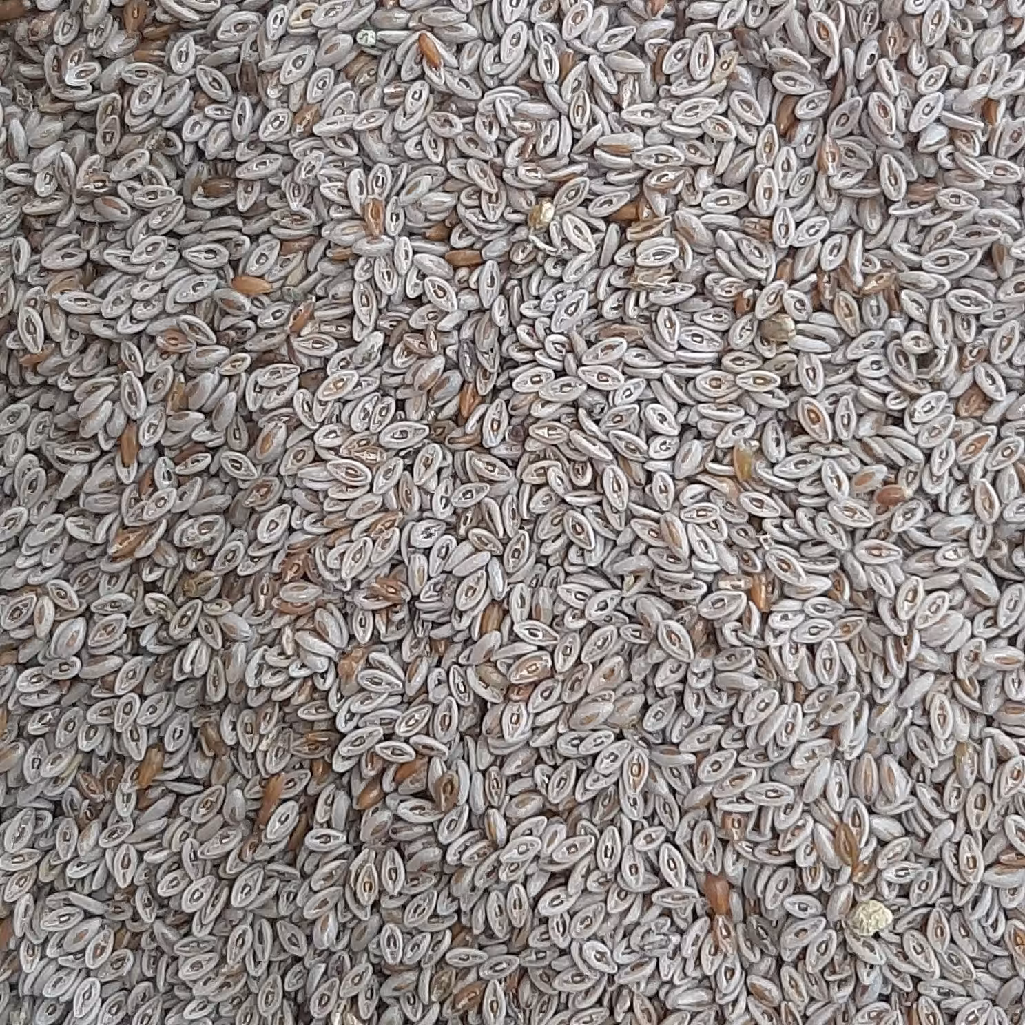 اسفرزه 100گرمی