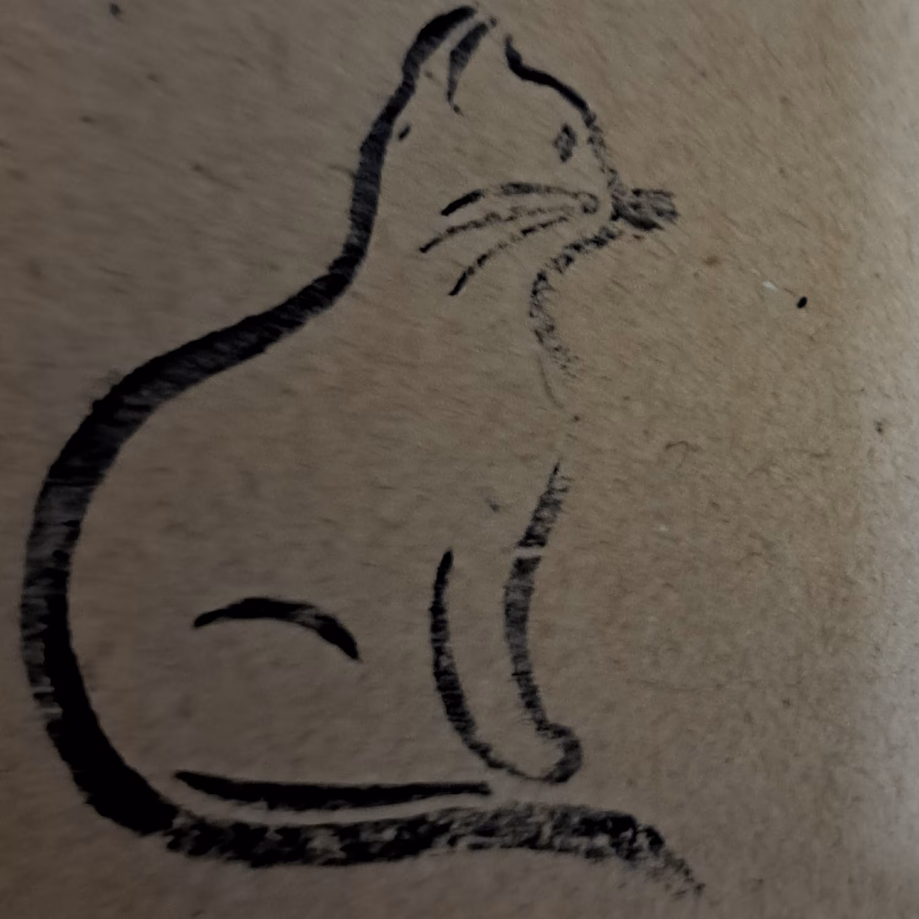 مهردستسازگربه نشسته