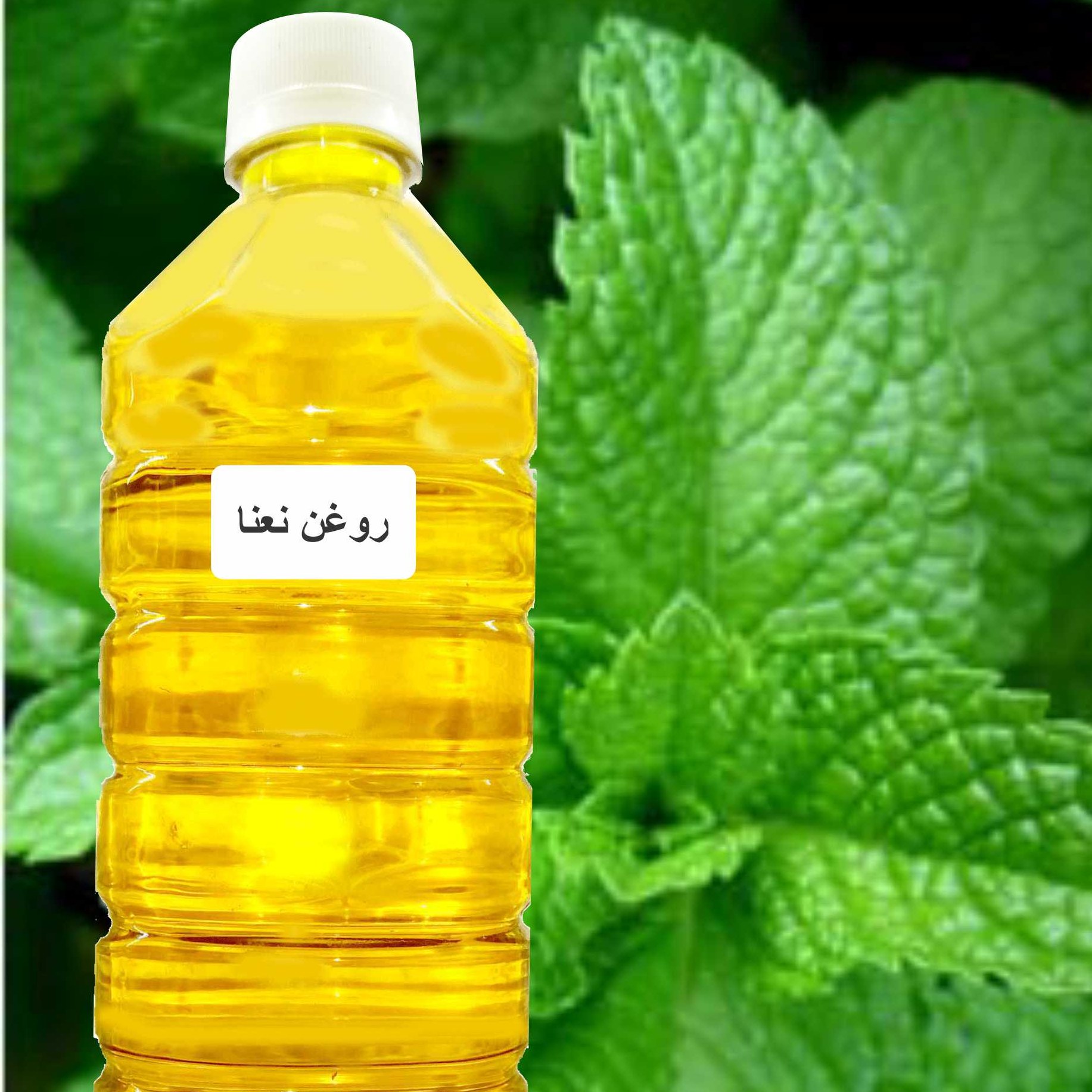 روغن نعنا فلفلی بر پایه کنجد