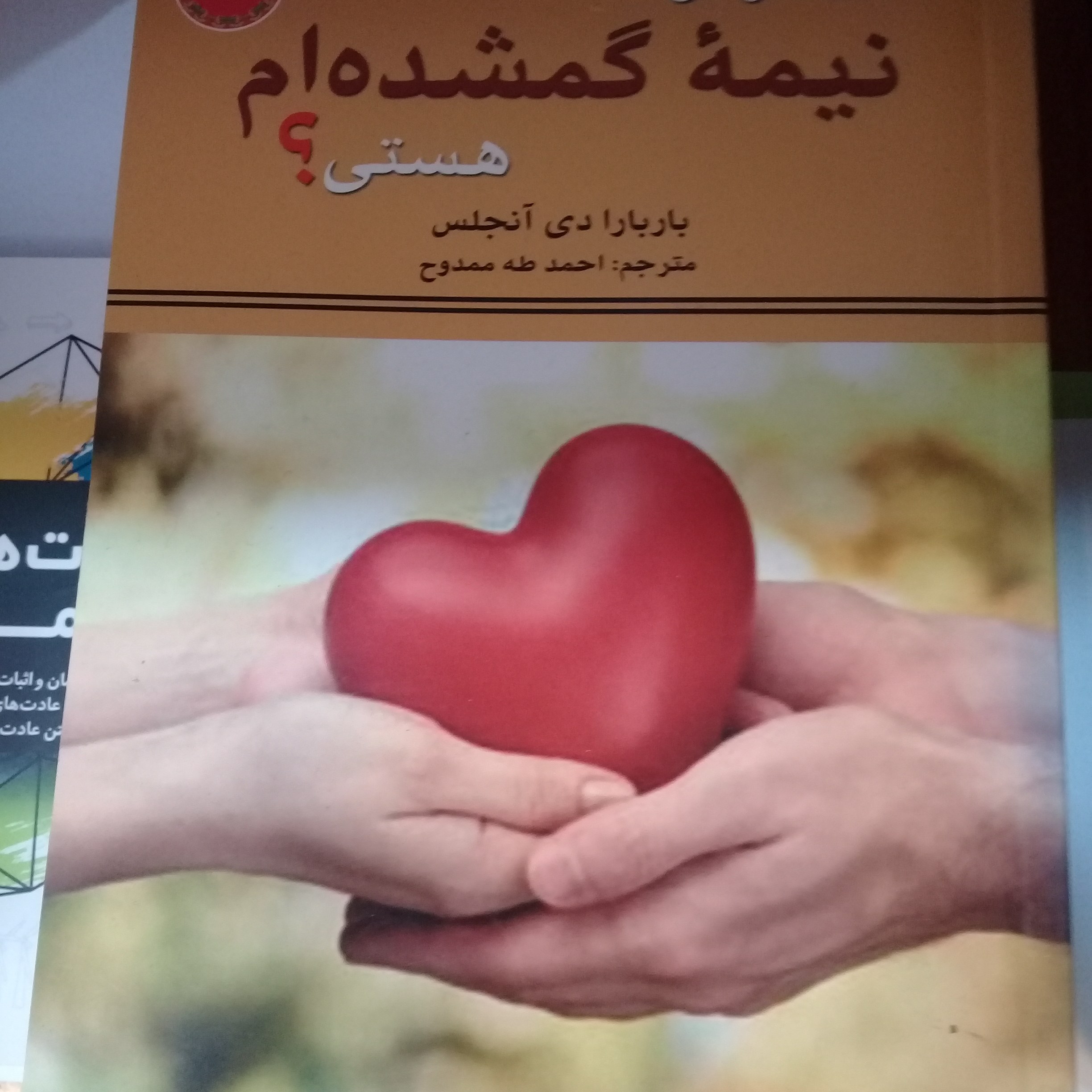 کتاب آیا تو آن نیمه گمشده ام هستی اثر باربارا دی انجلس نشر نیک فرجام