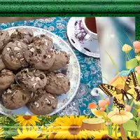 شیرینی کوکی لاهیجان آلبالویی با طعمی متفاوت و خاص که در برند لاهیج کوکی می توانید این محصول خوشمزه را استفاده کنید .