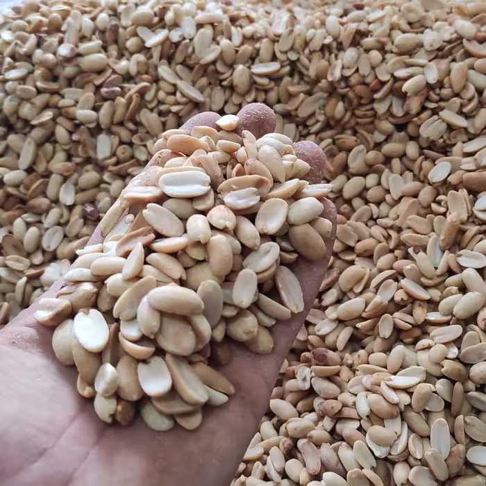 بادام زمینی کره گیری ( سفید ) ایرانی تبرک مغان و  امسالی ریز و درشت بوداده ( برشته )