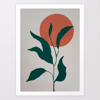 برگ و خورشید 