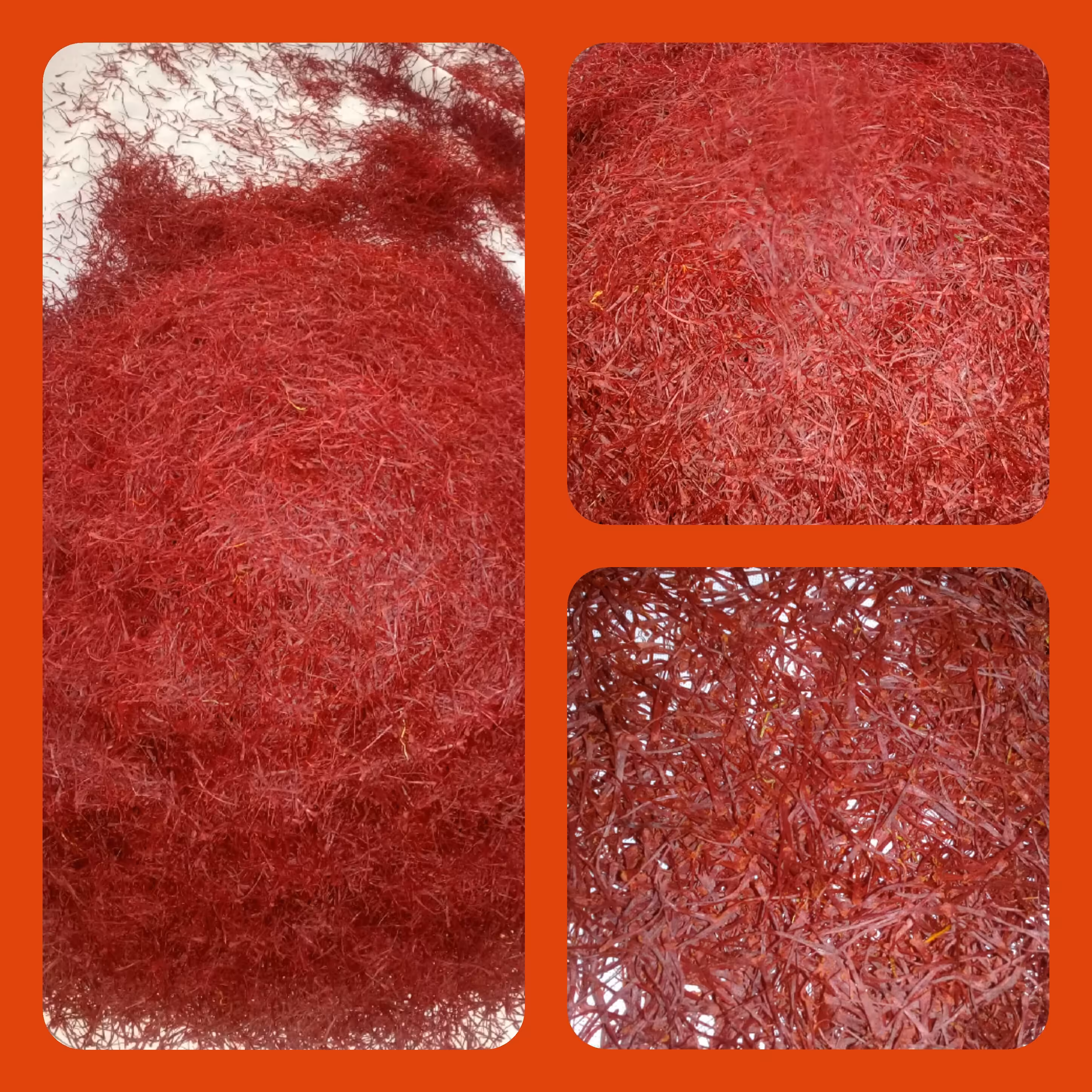 زعفران یک مثقالی 