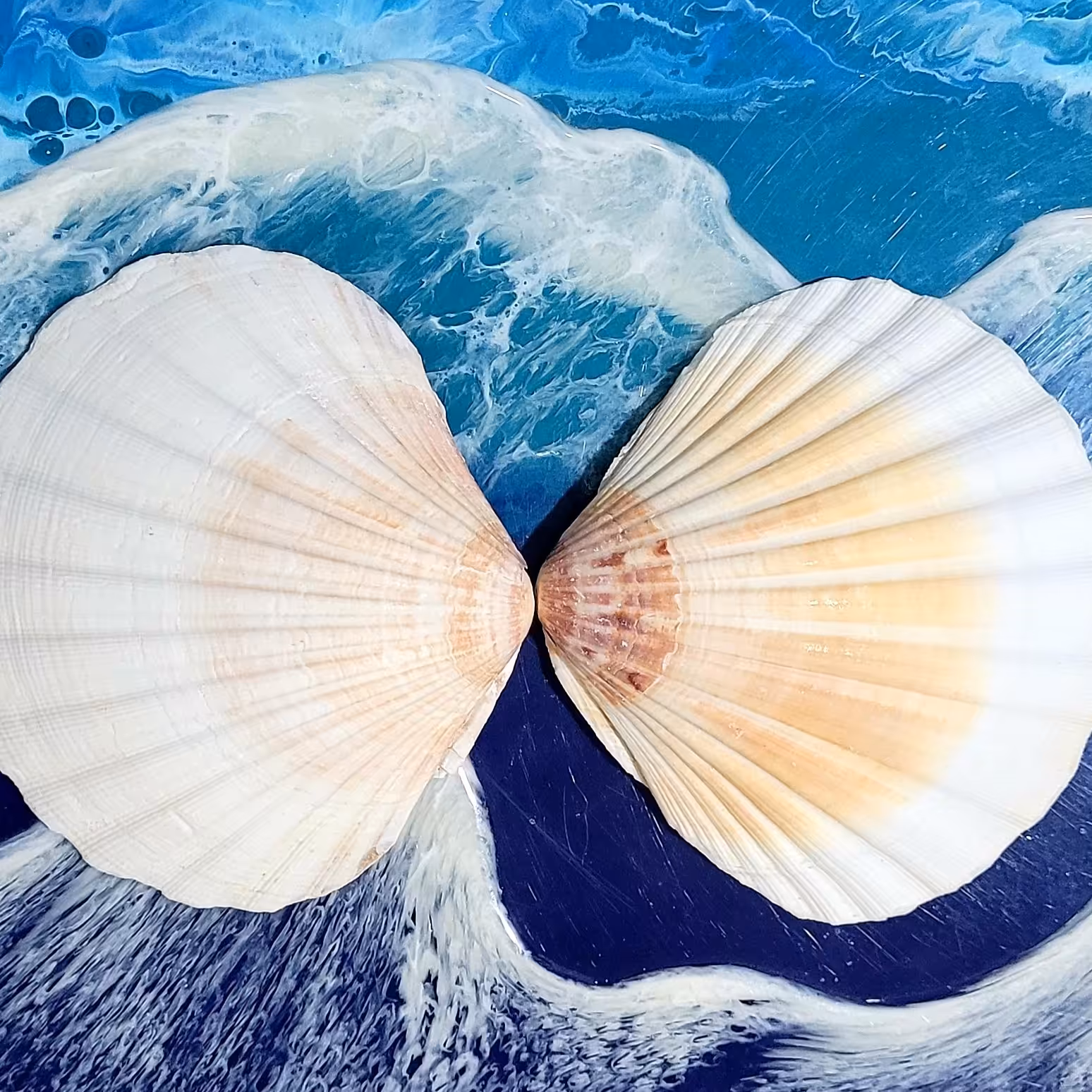 صدف گلبرگ بزرگ