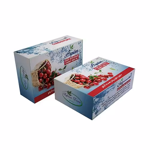 صابون هسته آلبالو ( ضد لک قوی ) 