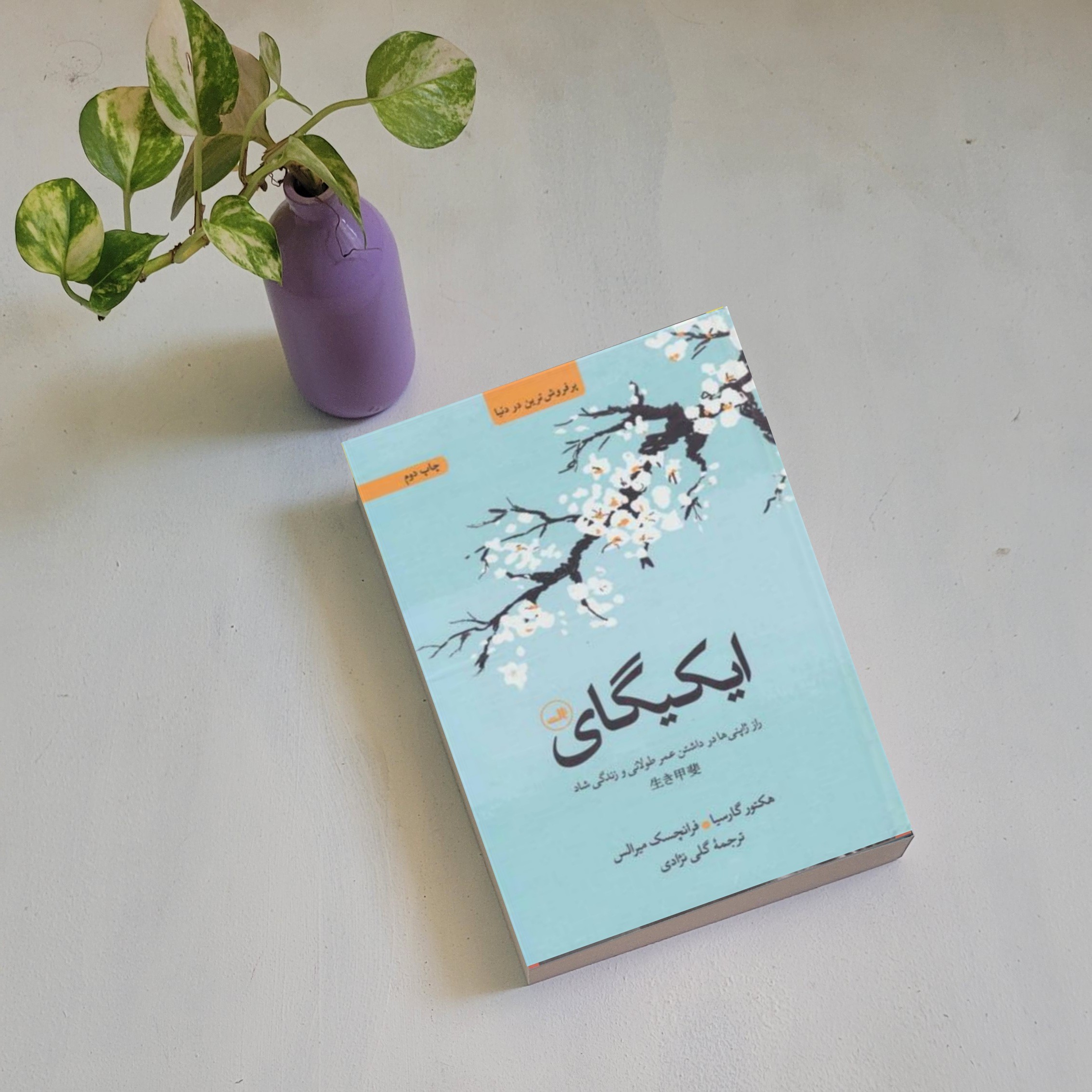 کتاب ایکیگای نشر ثالث