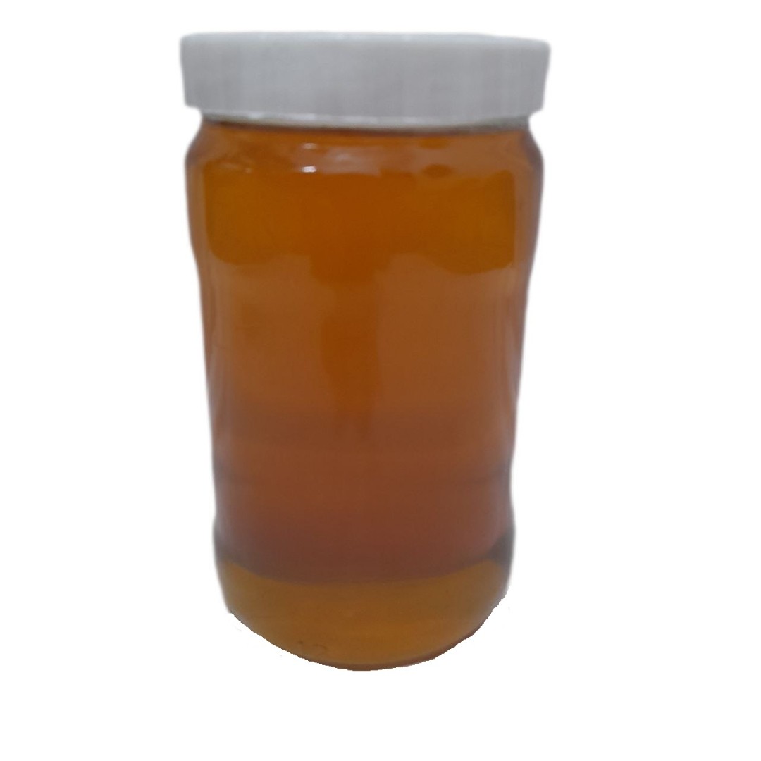 عسل طبیعی گون 900 گرمی