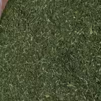 شنبلیله خشک محلی