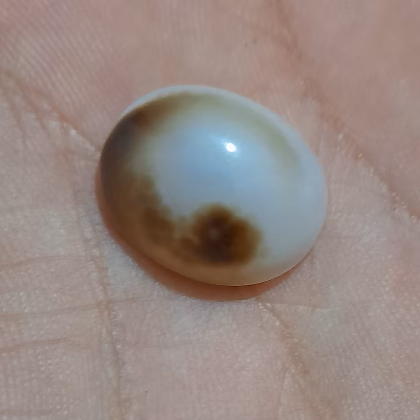 نگین باباغوری 