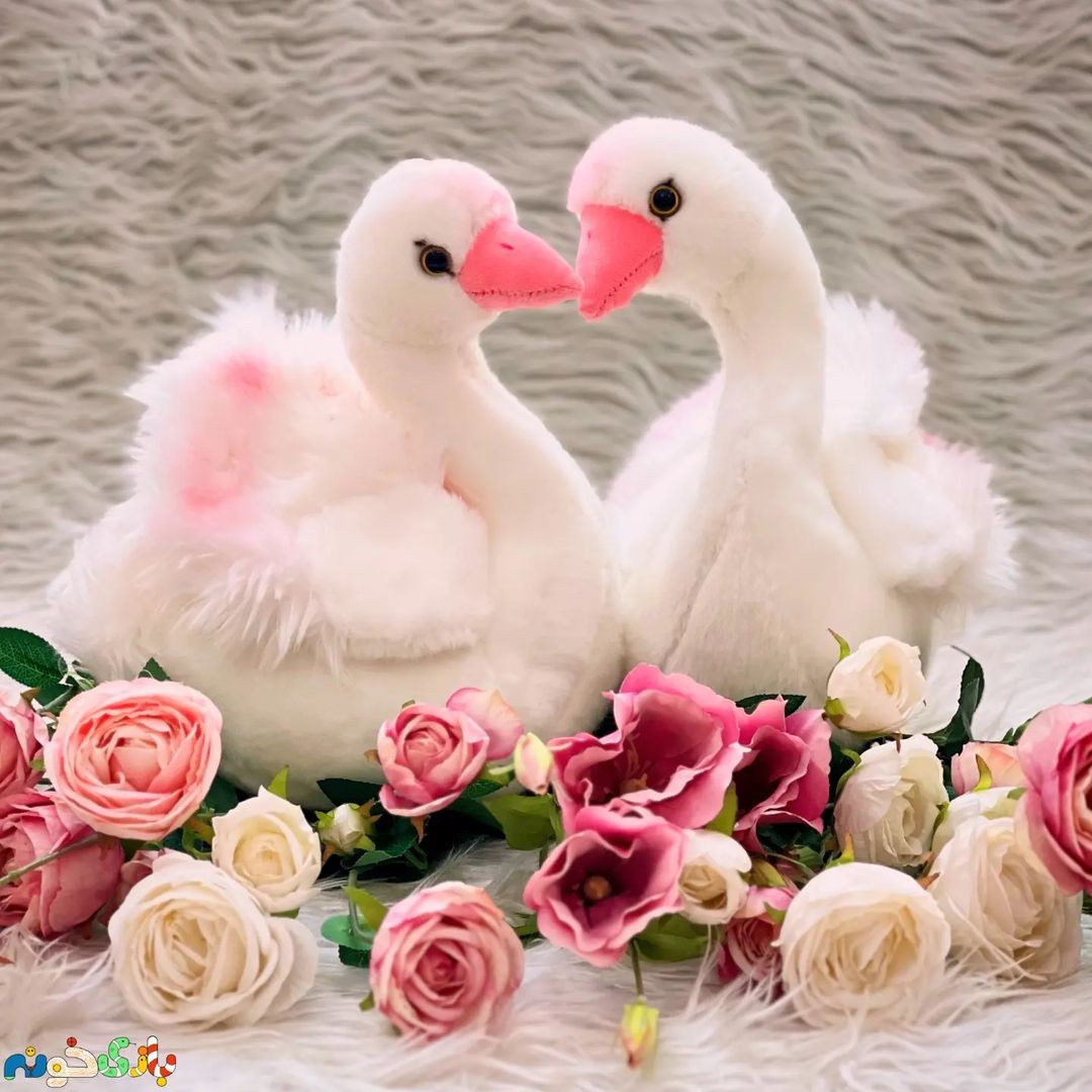 عروسک پولیشی قو چشم تیله ای طبیعی وارداتی ارتفاع 25سانت