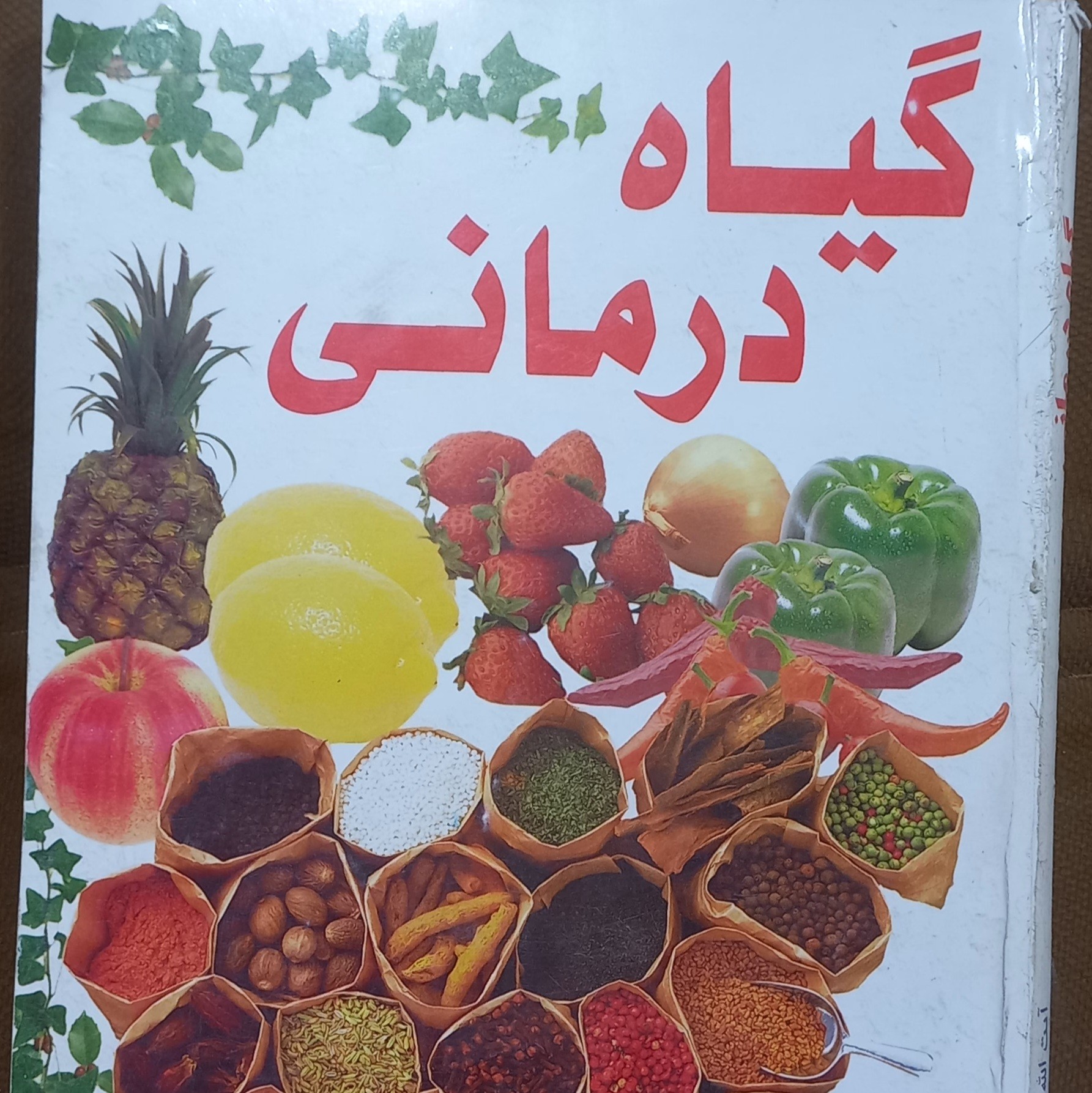 گیاه درمانی آیت الله مصطفی نورانی