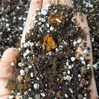 خاک حرفه ای عموم گیاهان آپارتمانی (پس کرایه)