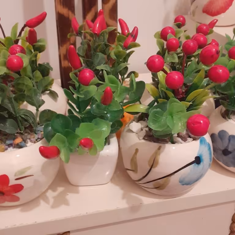 گلهای میوه ای فلفل و سیب