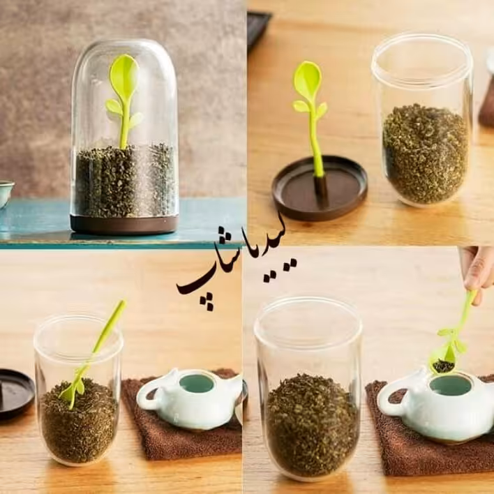 ظرف جوانه سبز سایز 2