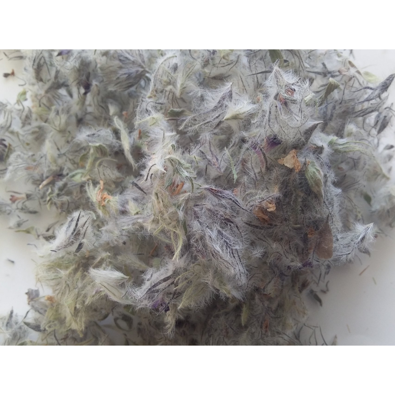 چای کوهی درجه یک 40 گرم