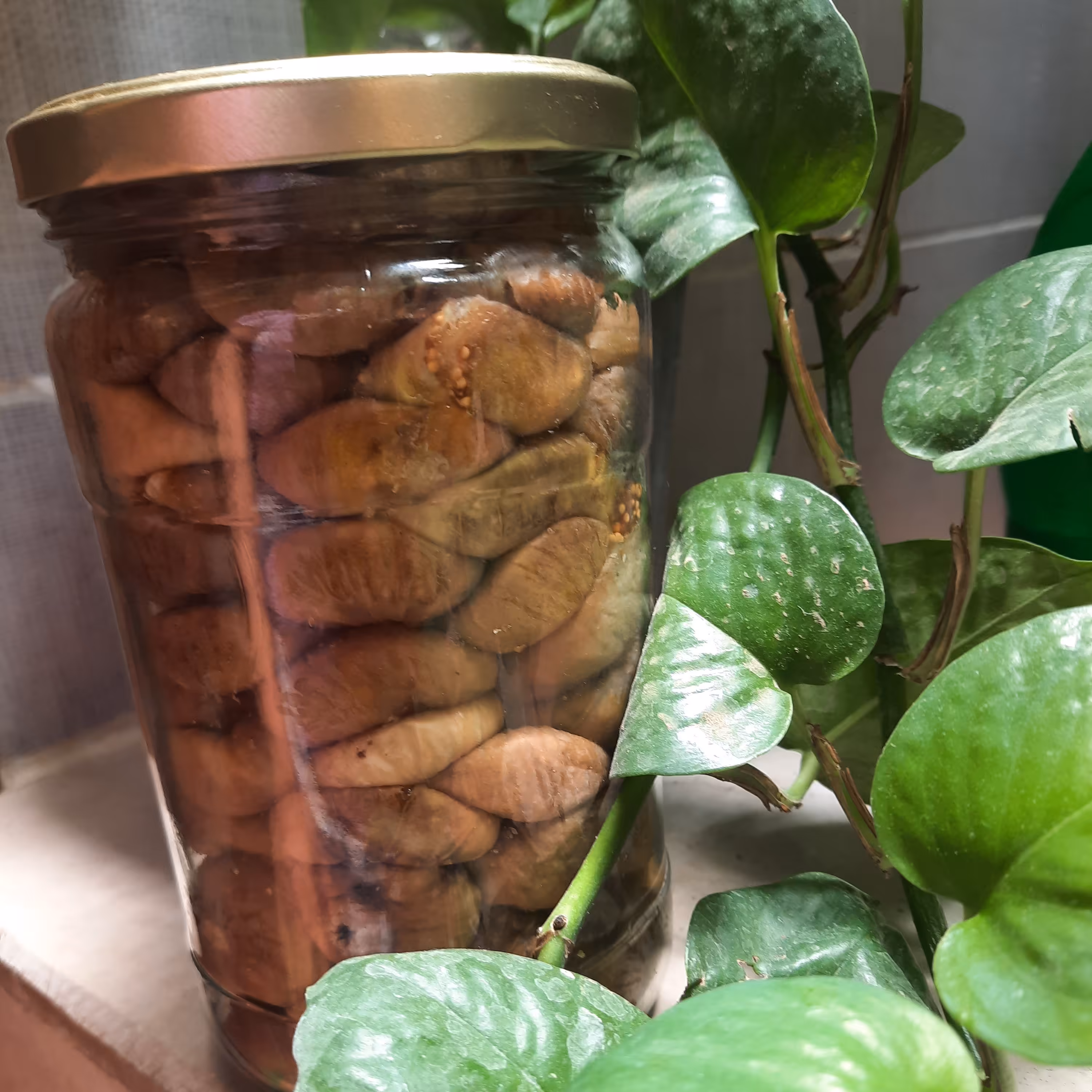 انجیر نرم و تازه استهبان  در بسته 700 گرمی بسیار شیرین و نرم 