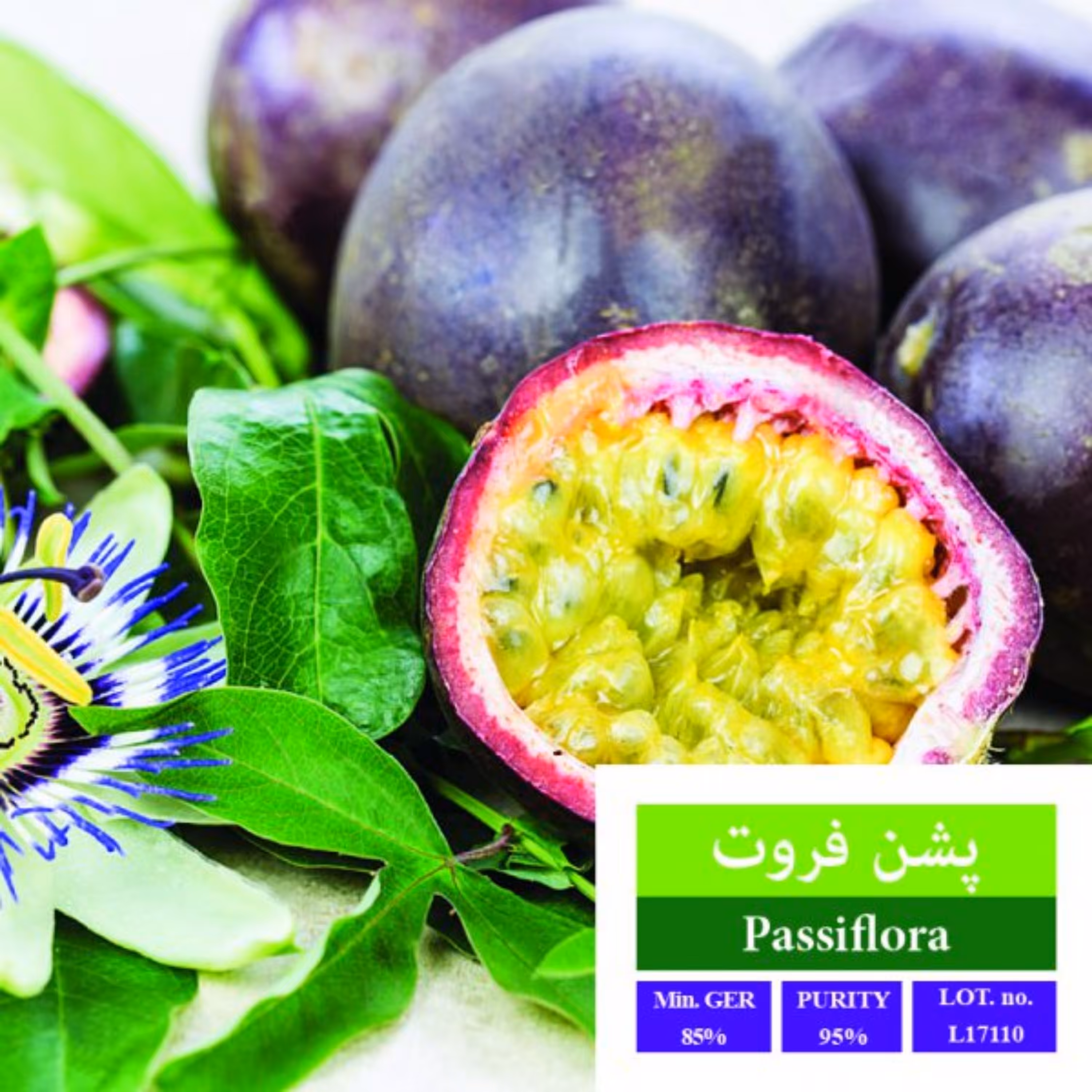 بذر پشن فروت بذر طلایی رویان 