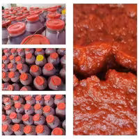 رب گوجه خانگی 7 کیلویی