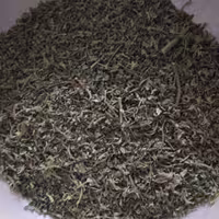 علف آنغوزه خشک (هنگ)