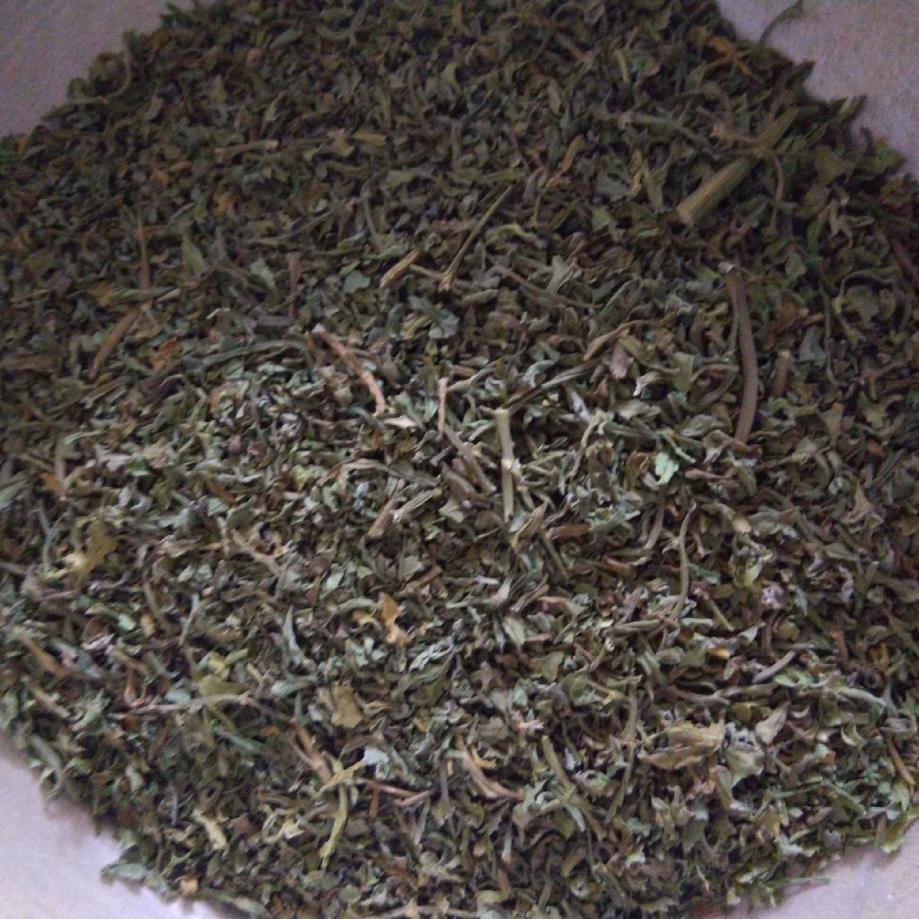 علف آنغوزه خشک (هنگ)