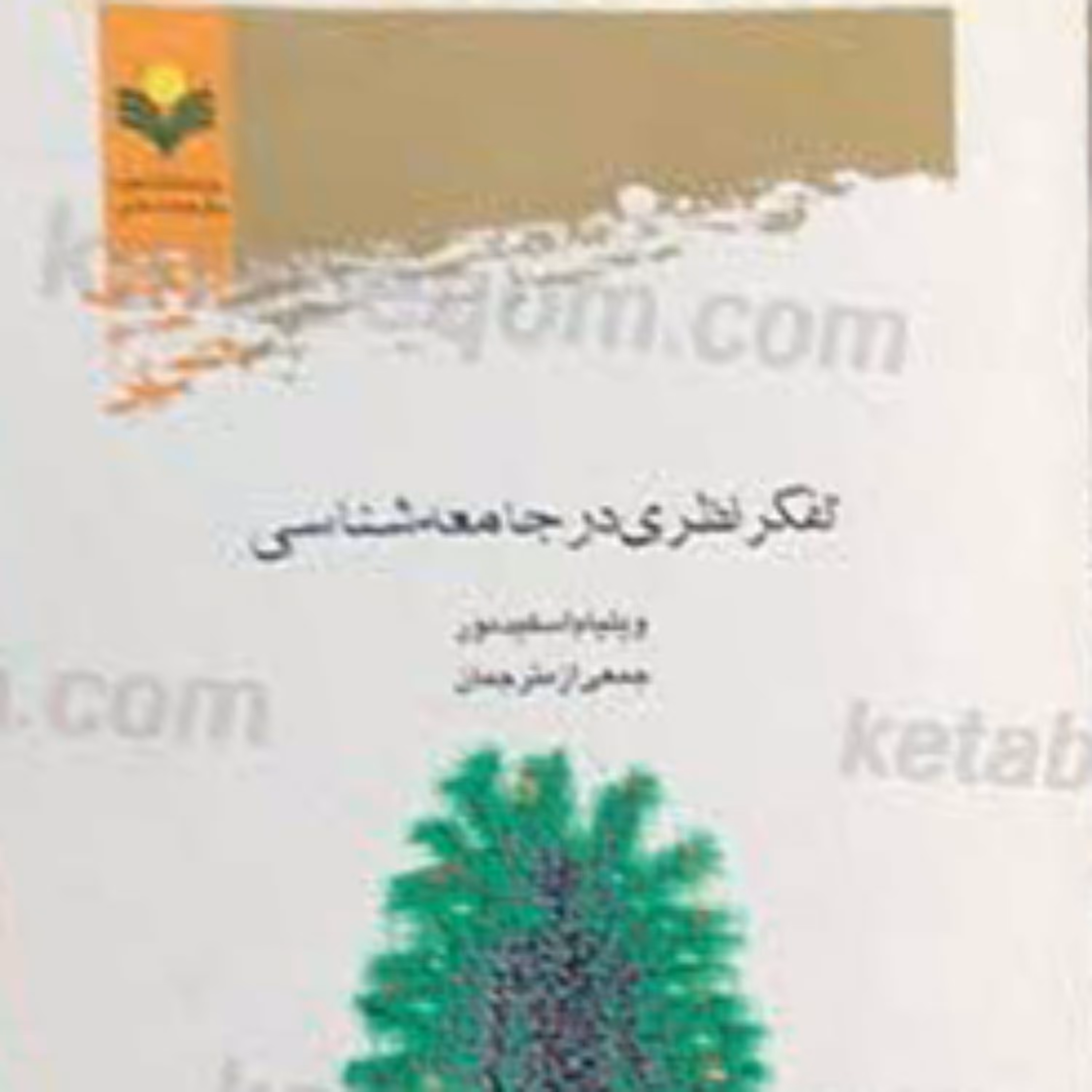 کتاب تفکر نظری در جامعه شناسی