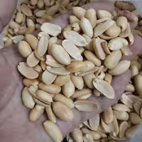 بادام زمینی  مخصوص کره گیری لوکس  تفت داده شده (1000 گرم)