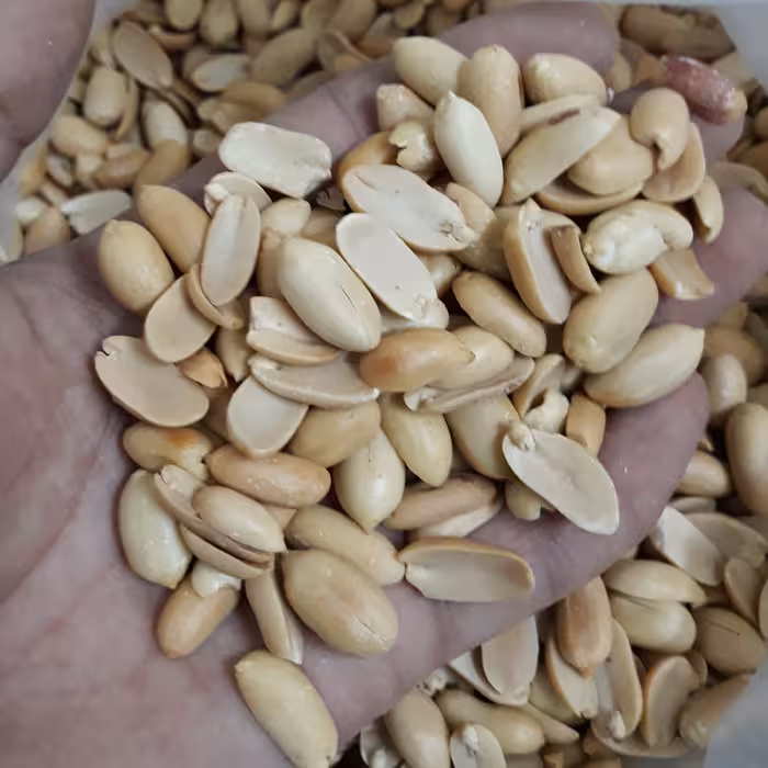 بادام زمینی  مخصوص کره گیری لوکس  تفت داده شده (1000 گرم)