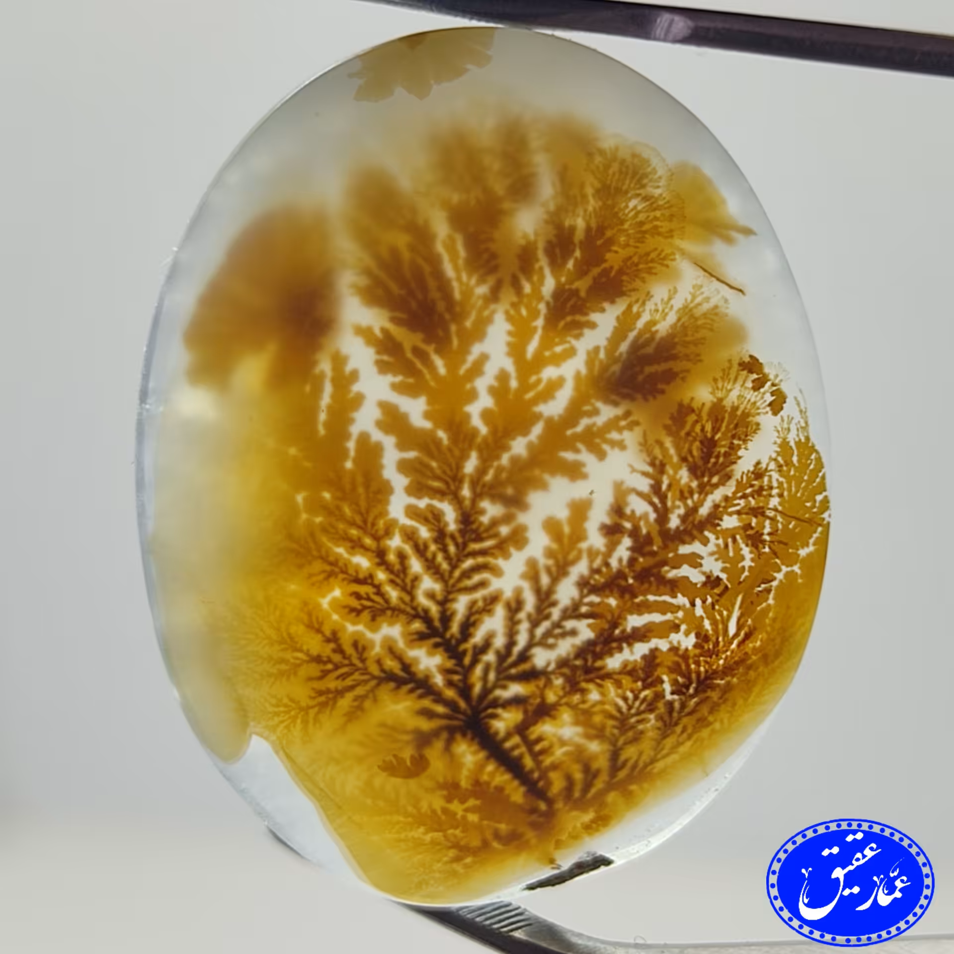 عقیق شجر سایز درشت تمام گل نارنجی